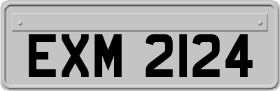 EXM2124