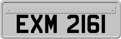 EXM2161