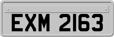 EXM2163