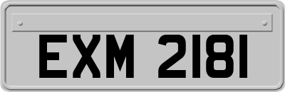 EXM2181