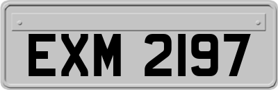 EXM2197