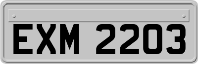 EXM2203