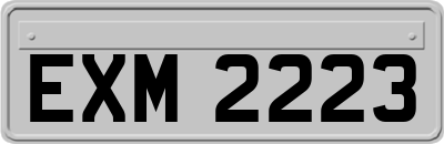 EXM2223