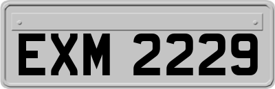 EXM2229