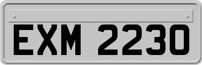 EXM2230