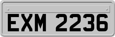 EXM2236
