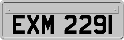 EXM2291