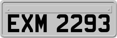 EXM2293