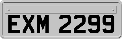 EXM2299