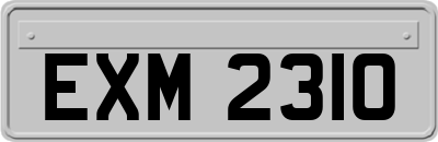 EXM2310
