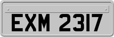 EXM2317