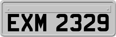 EXM2329