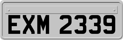 EXM2339