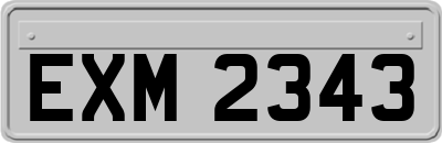 EXM2343