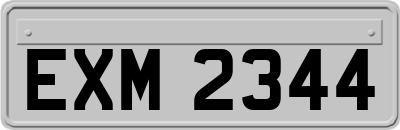 EXM2344