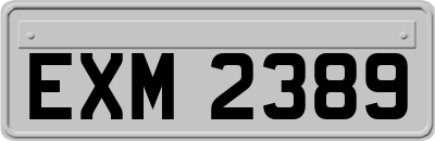 EXM2389