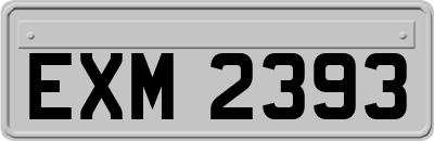 EXM2393