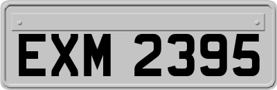 EXM2395
