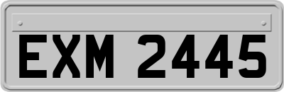 EXM2445