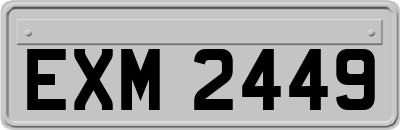 EXM2449