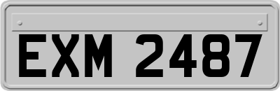 EXM2487