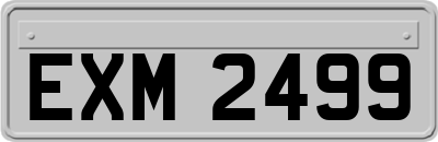 EXM2499