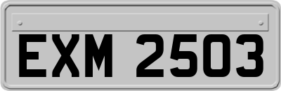 EXM2503