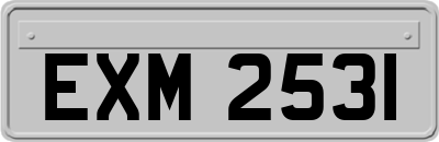 EXM2531