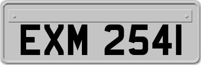 EXM2541