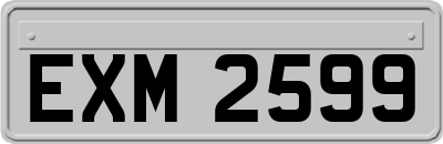 EXM2599