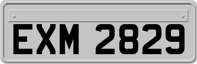 EXM2829