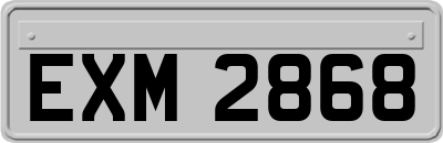 EXM2868