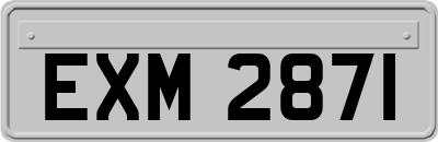 EXM2871