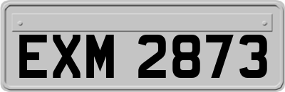 EXM2873