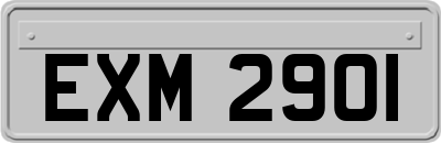 EXM2901