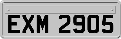 EXM2905