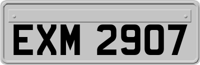 EXM2907