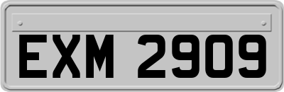 EXM2909