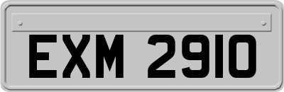 EXM2910