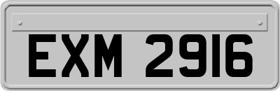 EXM2916