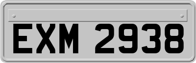 EXM2938