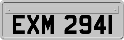 EXM2941