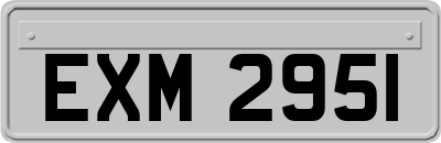 EXM2951