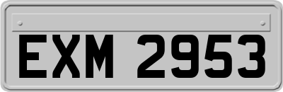 EXM2953
