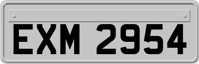 EXM2954