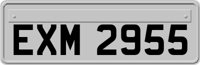 EXM2955