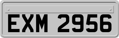 EXM2956