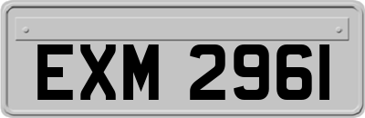 EXM2961