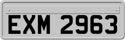 EXM2963