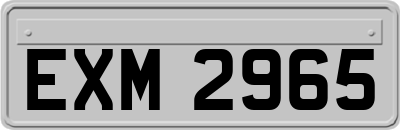 EXM2965